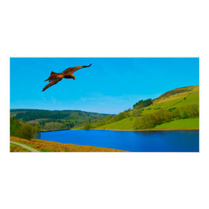 Häufiger Buzzard über das Ladybower-Reservoir Poster