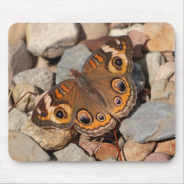 Häufiger Schmetterling auf dem Fluss Rock Mousepad