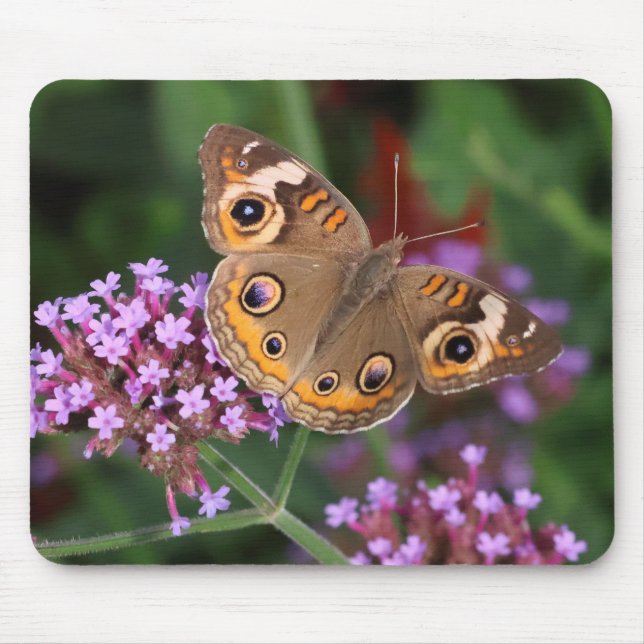 Häufiger Schmetterling auf Verbena Mousepad (Vorne)