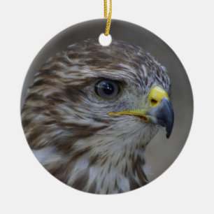 Häufiges Bussard-Portrait Keramikornament