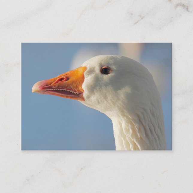 Haughty White Goose Visitenkarte (Vorderseite)