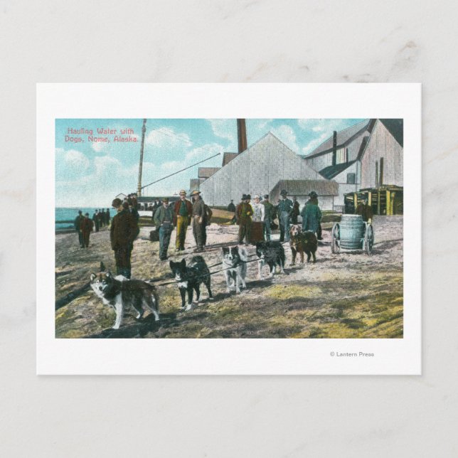 Hauling Water with DogsNome, AK Postkarte (Vorderseite)