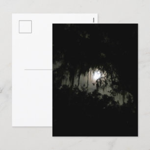 Haunting Dark Night Feiertagspostkarte