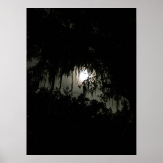 Haunting Dark Night Poster (Vorne)