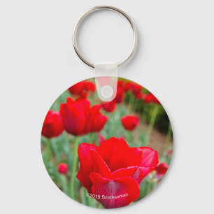 Haupt-Bulben, Nah Schlüsselanhänger