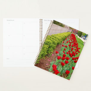 Haupt Bulbs Planer