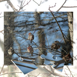 Haupt-Finch-fotografische Vögel Puzzle