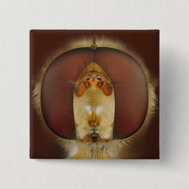 Haupt- und Verbundaugen einer Schwebeflug-Fliege Button (Vorderseite)