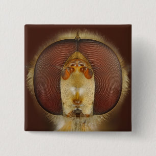 Haupt- und Verbundaugen einer Schwebeflug-Fliege Button