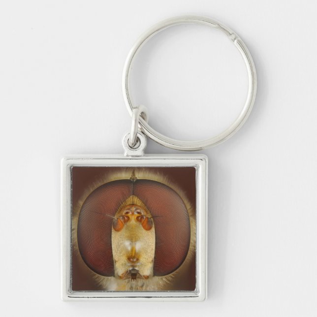 Haupt- und Verbundaugen einer Schwebeflug-Fliege Schlüsselanhänger (Vorne)