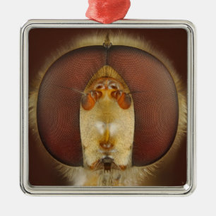 Haupt- und Verbundaugen einer Schwebeflug-Fliege Silbernes Ornament