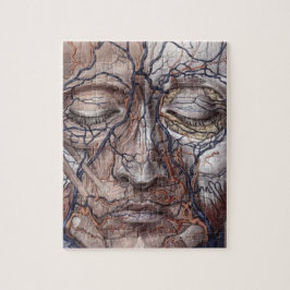 Hauptadern und Muskeln Puzzle