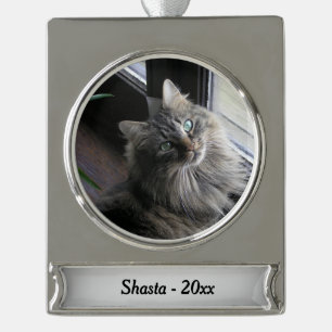 Hauptcoon-Katze Silbername und Jahr Banner-Ornament Silber