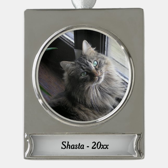 Hauptcoon-Katze Silbername und Jahr Banner-Ornament Silber (Vorderseite)