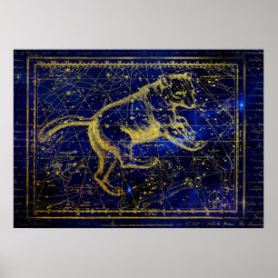 Hauptgestalterposter Poster