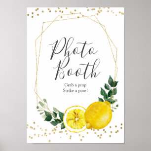 Hauptpresse Zitronenlemon Foto Standzeichen Poster