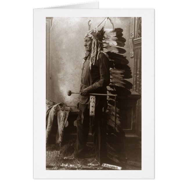 Hauptsitzender Bull - Vintag (Vorne)