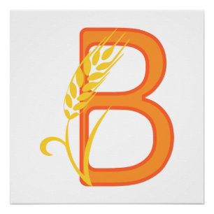 Hauptstadt B florale Monogramm Poster