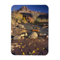 HAUPTSTADT REEF NATIONAL PARK, UT, US, Cottonwood