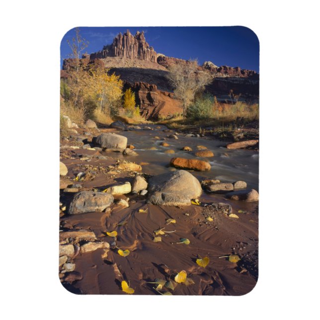 HAUPTSTADT REEF NATIONAL PARK, UT, US, Cottonwood Magnet (Vertikal)