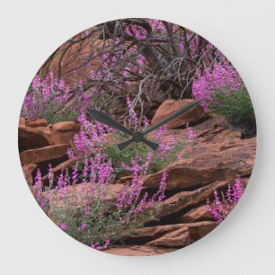 Hauptstadt Reef National Park, Utah, USA Große Wanduhr