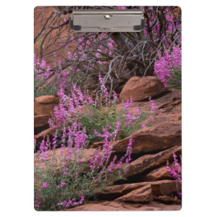 Hauptstadt Reef National Park, Utah, USA Klemmbrett