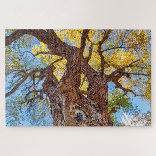 Hauptstadt Reef Nationalpark, Cottonwood Tree Puzzle (Horizontal)