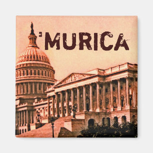 Hauptstadts-Gebäude-Washington DC Murica Amerika Magnet