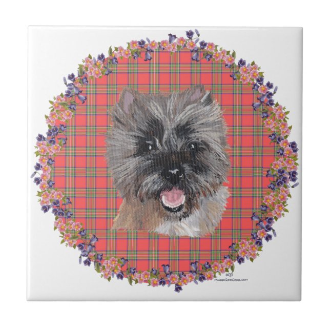 Hauptstudie zu Tartan Fliese (Vorderseite)