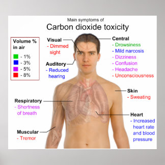 Hauptsymptome der Toxizität von Kohlendioxid Poster
