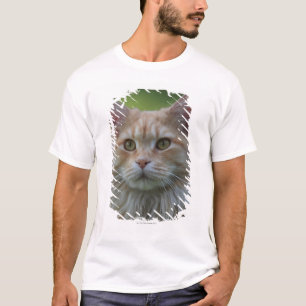 Hauptwaschbärkatze T-Shirt