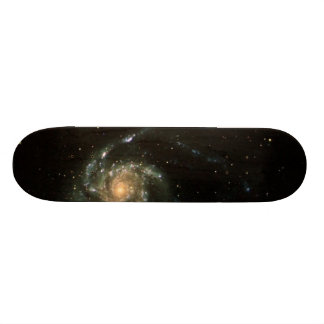 HauptWhires Skateboard