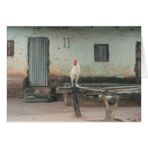 Haus #11, Gambia-Dorf-Reihe
