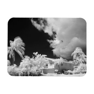 Haus auf den Florida Keys und seine Palmen, USA. Magnet