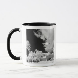 Haus auf den Florida Keys und seine Palmen, USA. Tasse