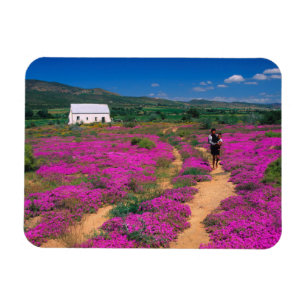 Haus, Blumen und Mädchen, bei Kamieskroon Magnet