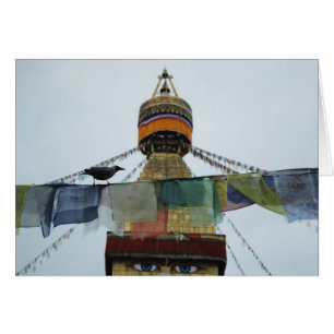 Haus-Krähe an den Gebeten Bodha Stupa, Nepal