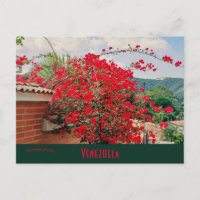 Haus mit Blume Caracas Venezuela