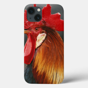 Haus- oder Hofhahn iPhone 13 Hülle