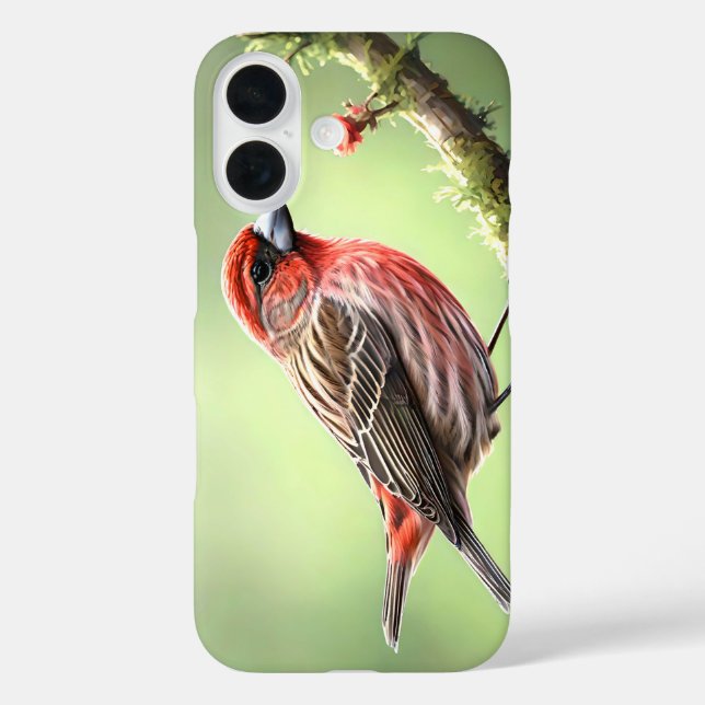 HAUSFINK VOGEL AVIAN GARTEN Case-Mate iPhone HÜLLE (Rückseite)