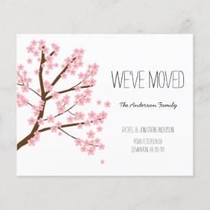 Haushalt Kirschblüten Sakura Baum Wir haben bewegt