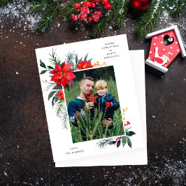 Haushalt Poinsettia Rahmen V Foto Urlaub