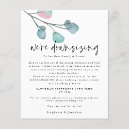 Haushaltsabsenkung des Skripts Eukalyptus Wedding