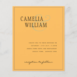 HAUSHALTSBREITERINVITATIONEN einfarbig viele Farbe Flyer