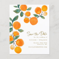 Haushaltsfarben Orangenobst Save the Date