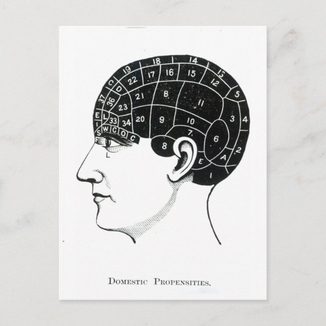 Haushaltsgegenstände Postkarte (Vorderseite)