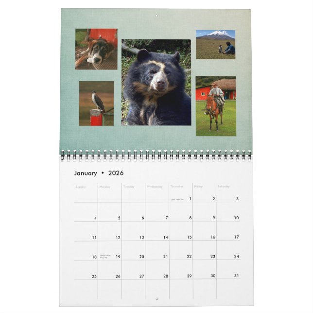 Haushaltskalender 2011 kalender (Jan 2026)