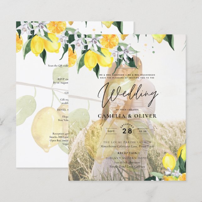 HAUSHALTSKONTROLLE - 1 FOTO OVERLAY Lemons Wedding (Vorne/Hinten)