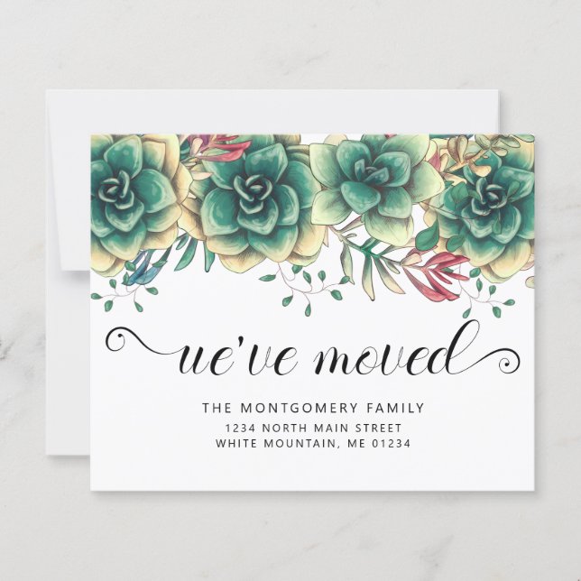 Haushaltssukkulturen Hühner - Ankündigung (Vorderseite)