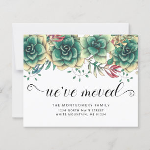 Haushaltssukkulturen Hühner - Ankündigung